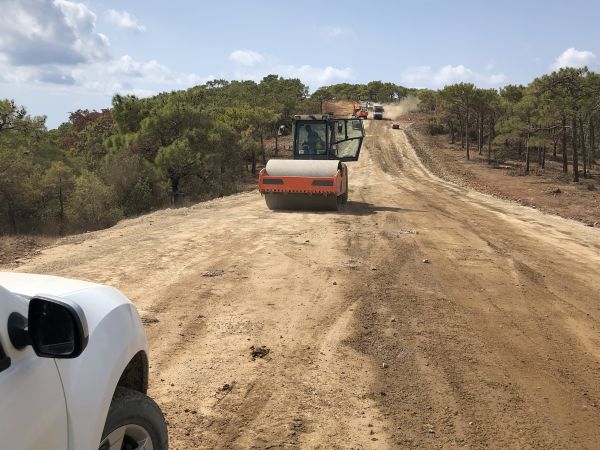 Cost of Driveway Grading in Hagerstown